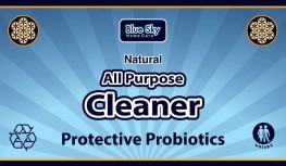 All Purpose Cleaner