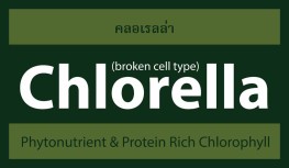 Chlorella - Protein Rich Chlorophyll