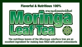 Flavorful & Nutritious Moringa Tea Leaf
